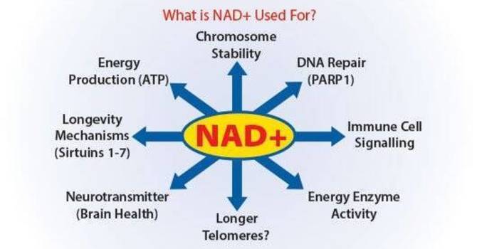 NAD+